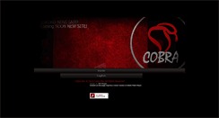 Desktop Screenshot of cobrafilm.com